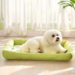 cooling dog bed