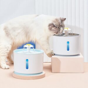 Cat water fountain reservoir lifted off its base for refilling