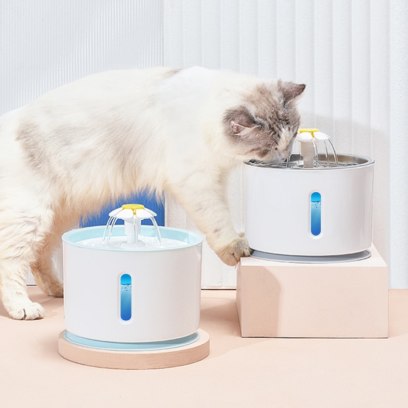 Cat water fountain reservoir lifted off its base for refilling